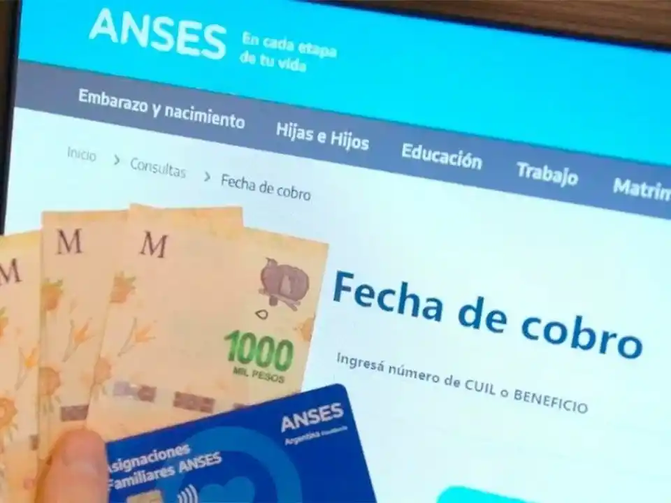 ANSES: calendarios de pagos de diciembre