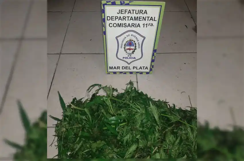 Dos causas más por tenencia simple de estupefacientes