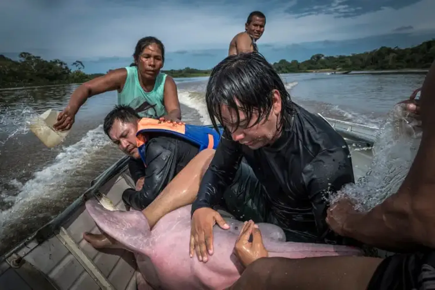 Fotografías de vida silvestre 2021