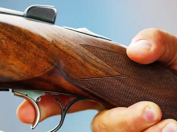 Instituciones ambientales presentaron acción judicial contra el gobierno por “la matanza de aves”