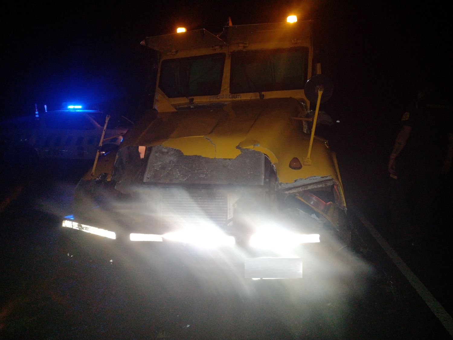 Un camión de caudales chocó contra una vaca en plena Ruta Nacional 81