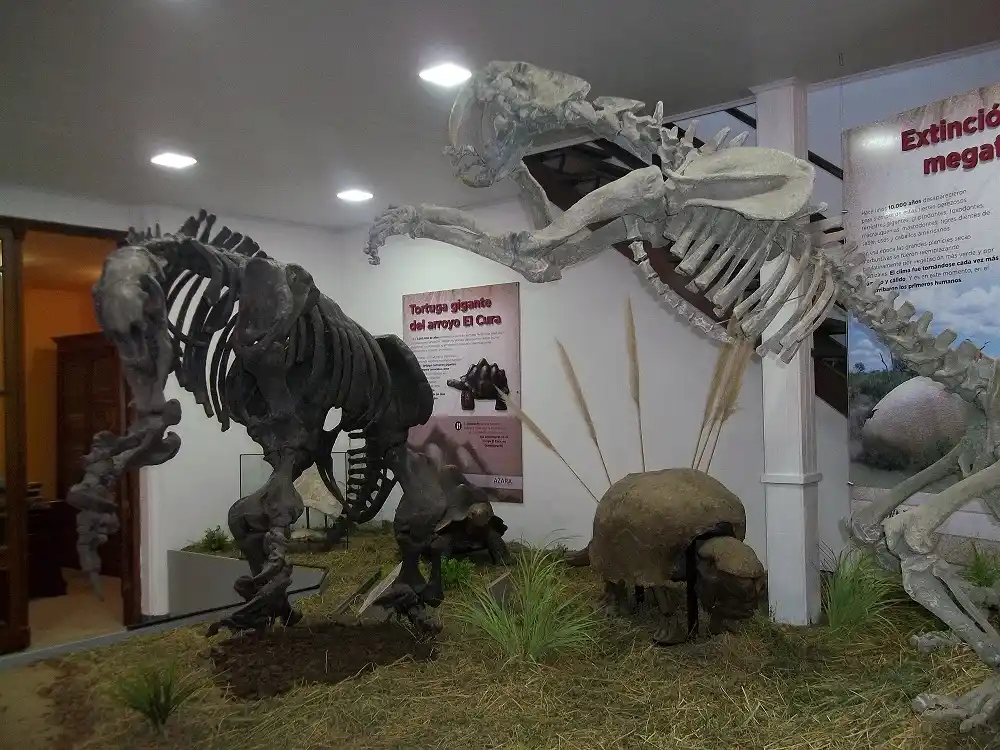 La reapertura de un remozado Museo Almeida