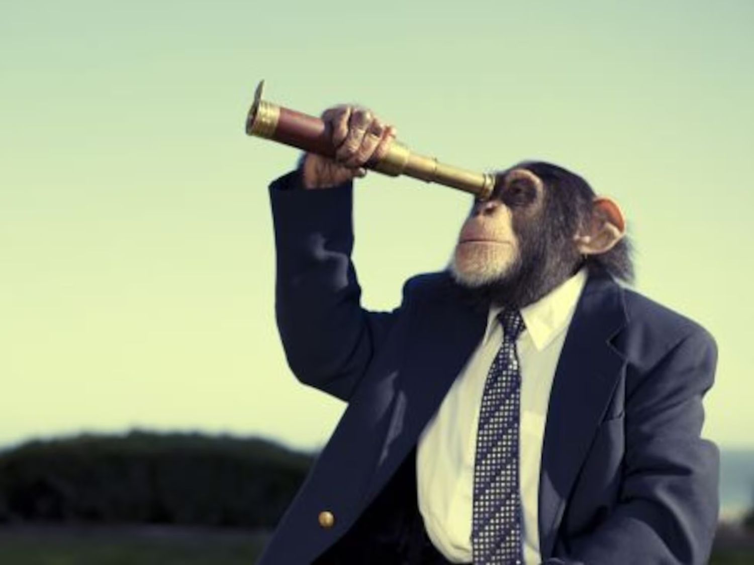 La Era del Mono Feliz