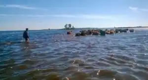 Por las inundaciones, será nula la siembra de invierno en General Villegas