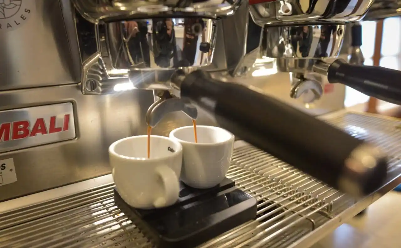 Durante 2025, más de 130 personas participaron del curso intensivo.