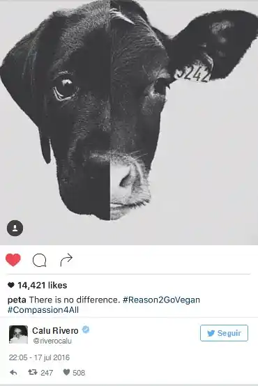 Una polémica imagen, el dolor de Calu Rivero y la ironía de Liniers 