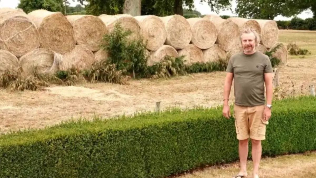 Insólito: un millonario construyó un muro de heno para bloquearle la vista a su vecino