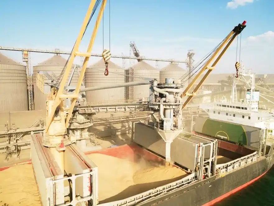 Ajustan controles y procesos para acelerar la salida de granos de los puertos argentinos