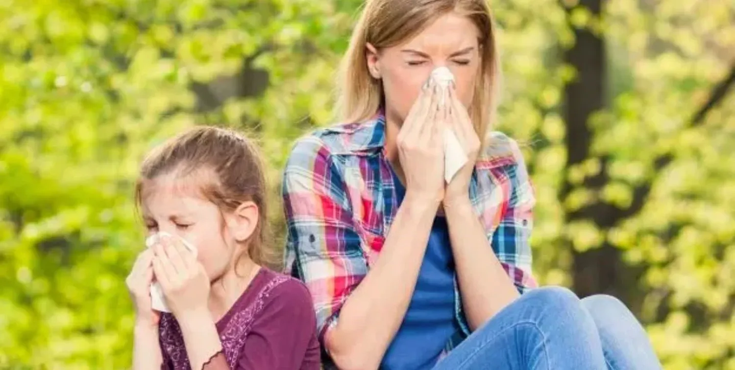 La rinitis alérgica es la enfermedad crónica respiratoria más frecuente que afecta la nariz, garganta, oídos y conjuntiva ocular.