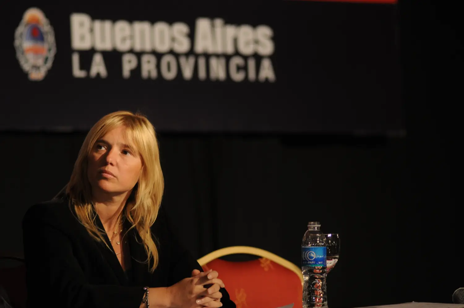 Elecciones 2013: Cristina Álvarez Rodríguez criticó a Massa por "cambiante"