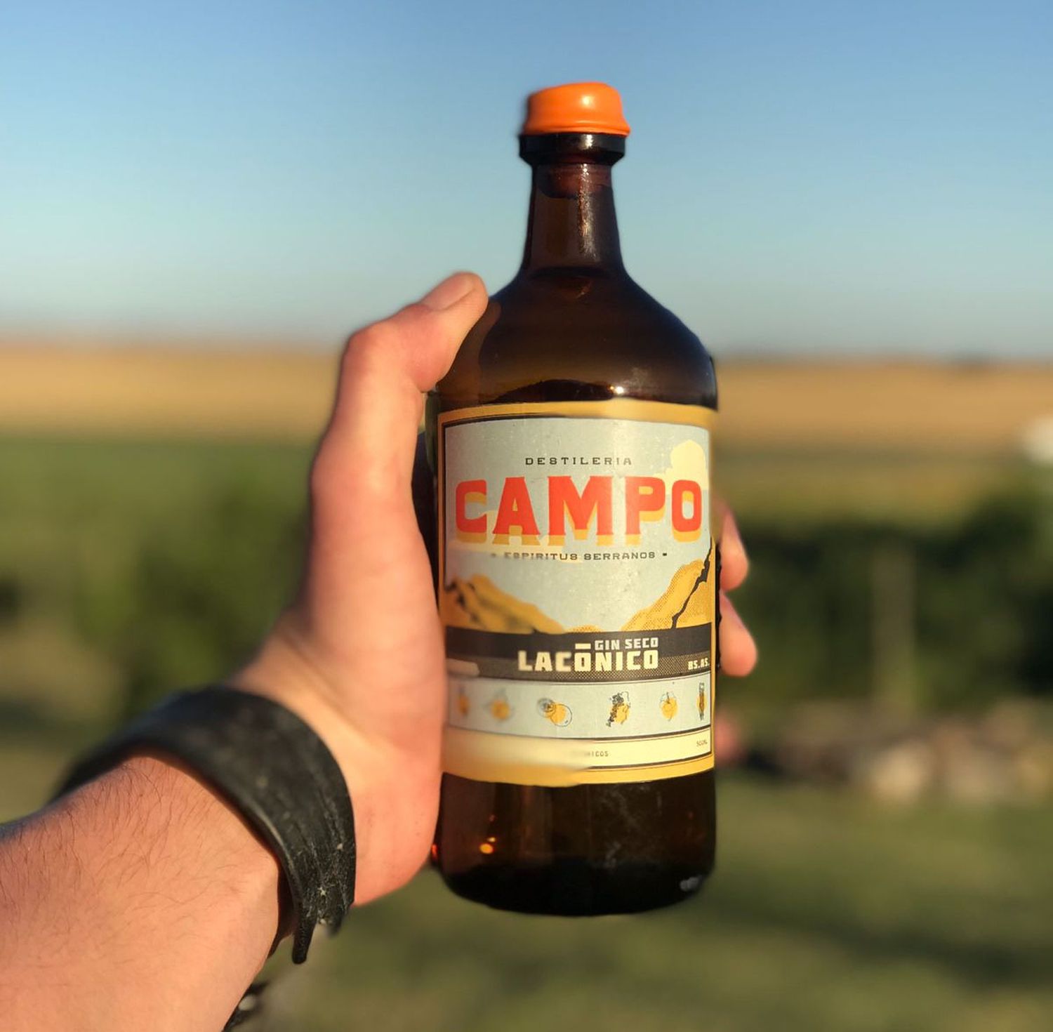 campo 2
