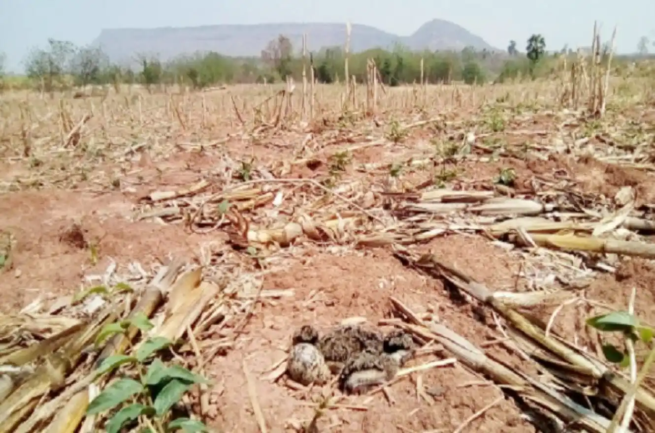 Impacto económico en Entre Ríos