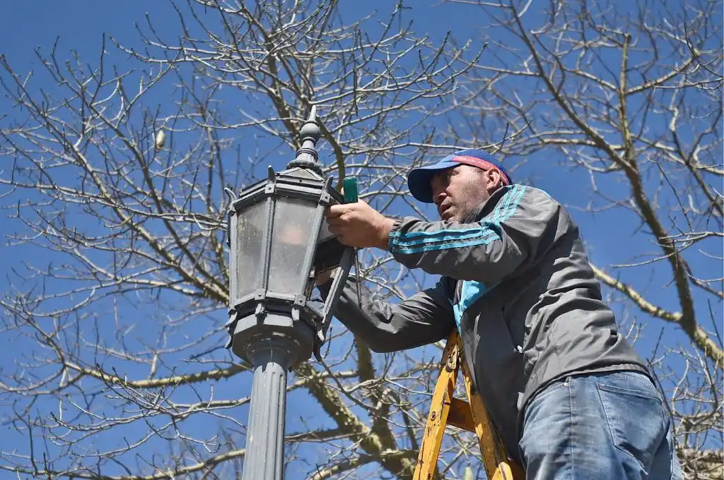 Trabajos de fumigación, iluminación y bacheo previstos para este jueves en Santa Fe