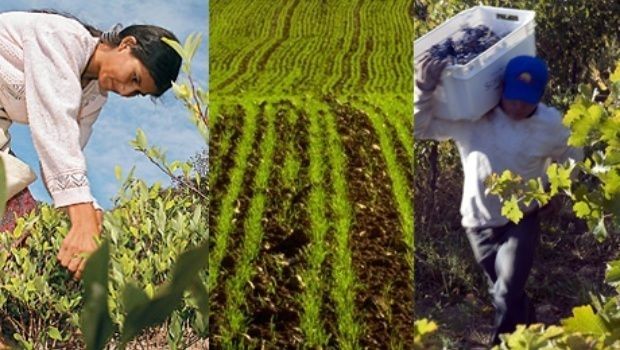 Alerta y movilización de las economías regionales
