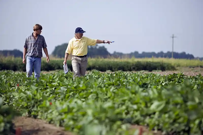 Conformidad y optimismo del sector agrícola
