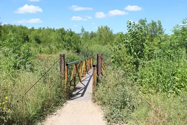 Denuncian peligros y contaminación por el abandono de un puente peatonal