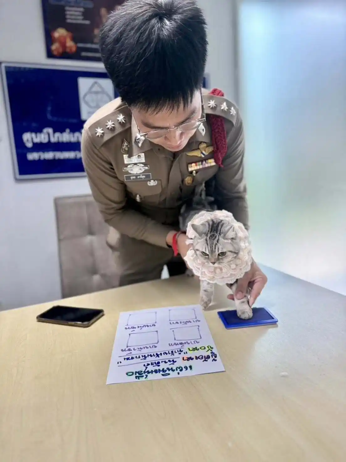 gata bankok tailandia detenida - 2