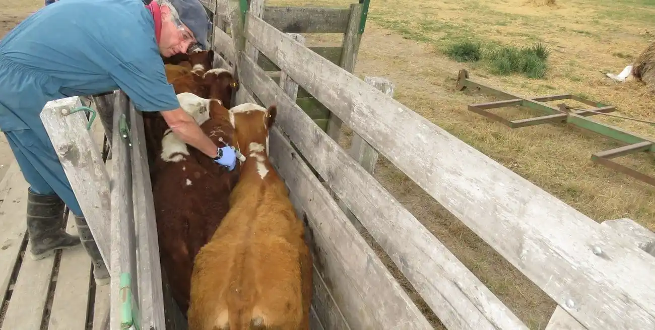 Pujato destacó a Campolitoral con este medio que los resultados de SENASA son contundentes