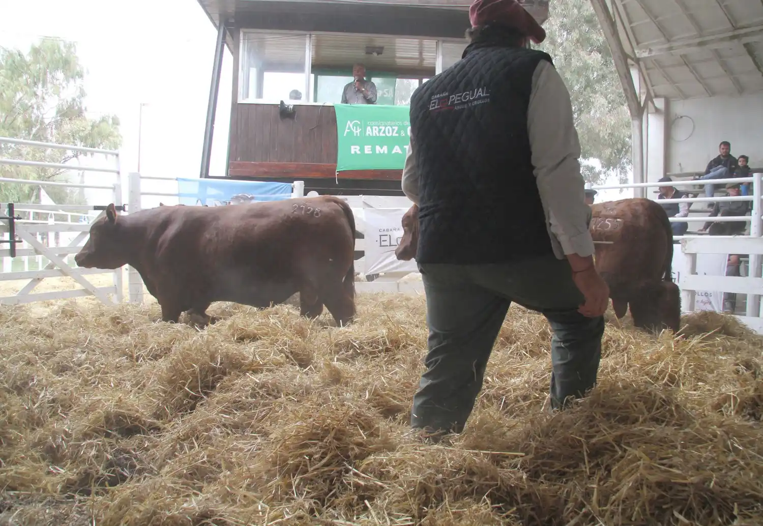 “De Productores para Productores” y un exitoso paso por la pista de la Rural