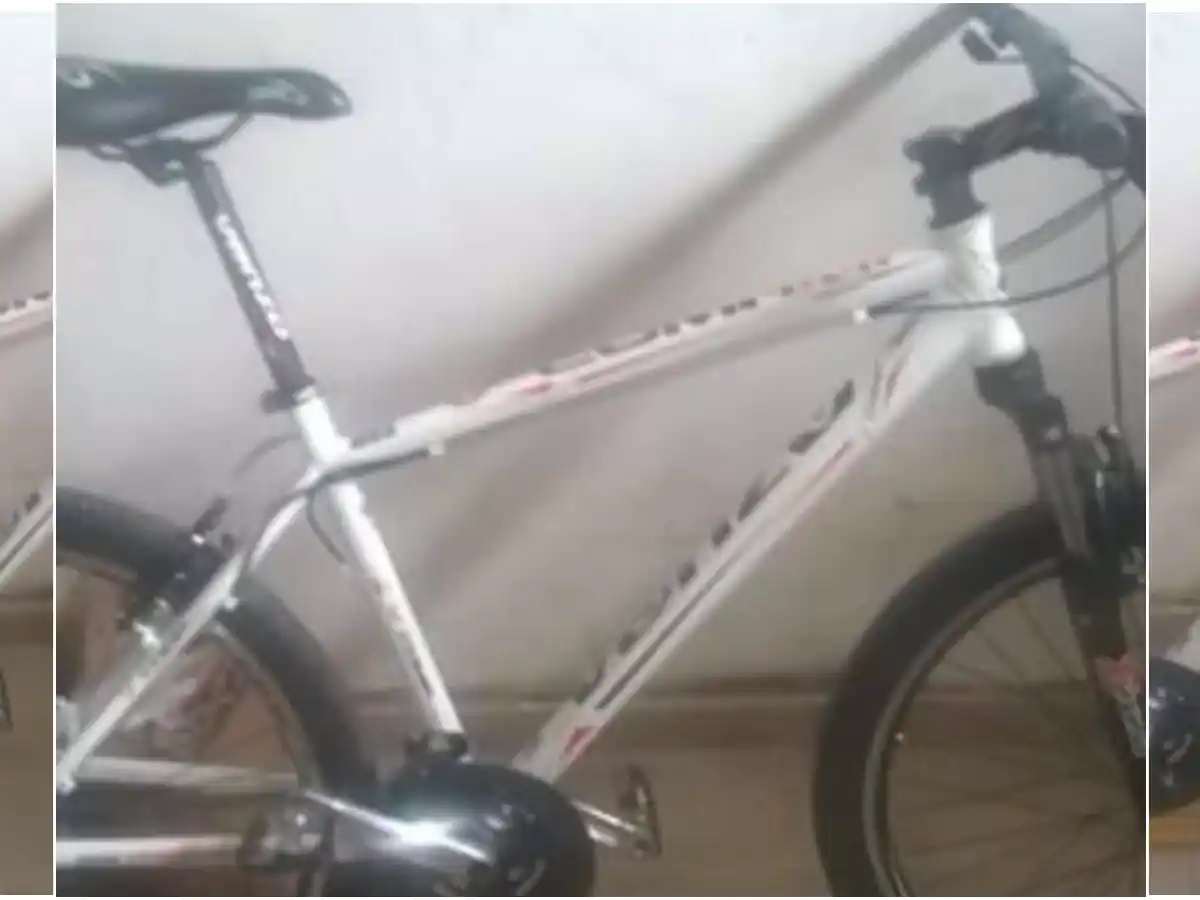 Robaron una bicicleta en barrio La Consolata