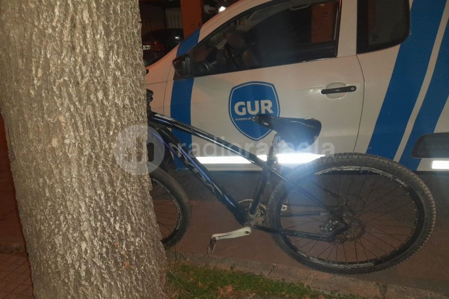 Varias denuncias y una persecución en la madrugada: hay dos menores detenidos