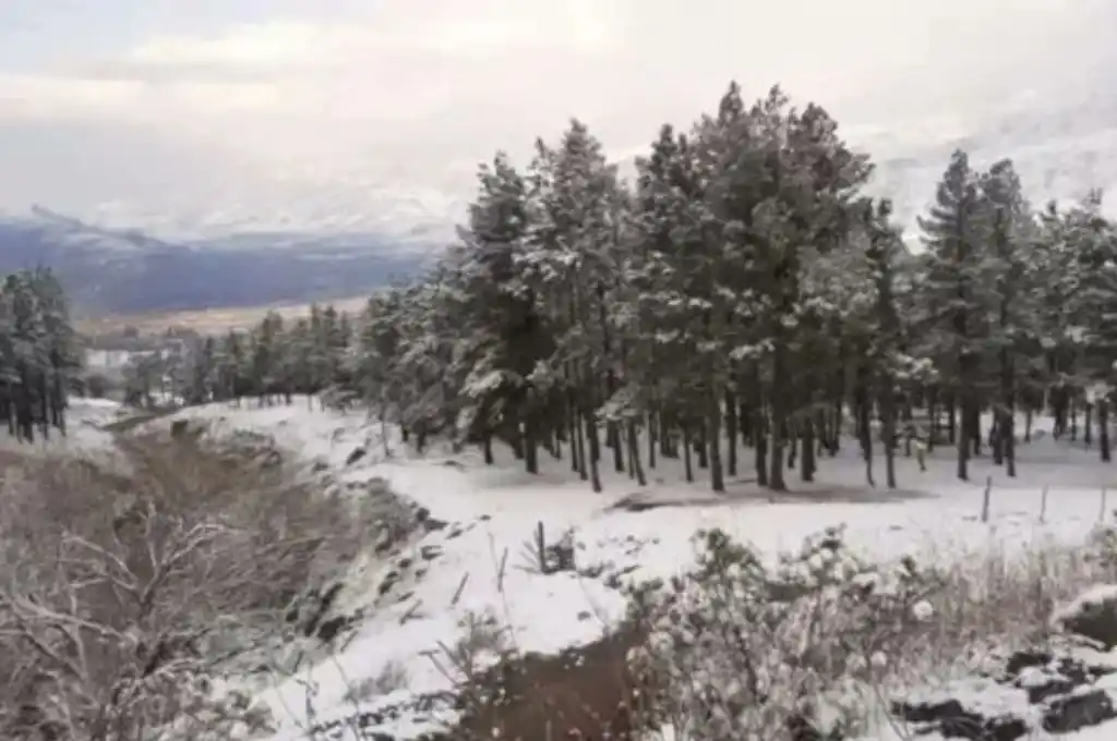 Los valles tucumanos se cubrieron de nieve