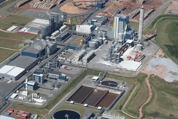 UPM: Denuncian altos valores de químicos en zona de efluentes 