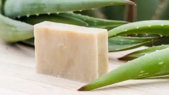 JABÓN DE SÁBILA Y ACEITE DE COCO: la combinación perfecta para hidratar tu piel