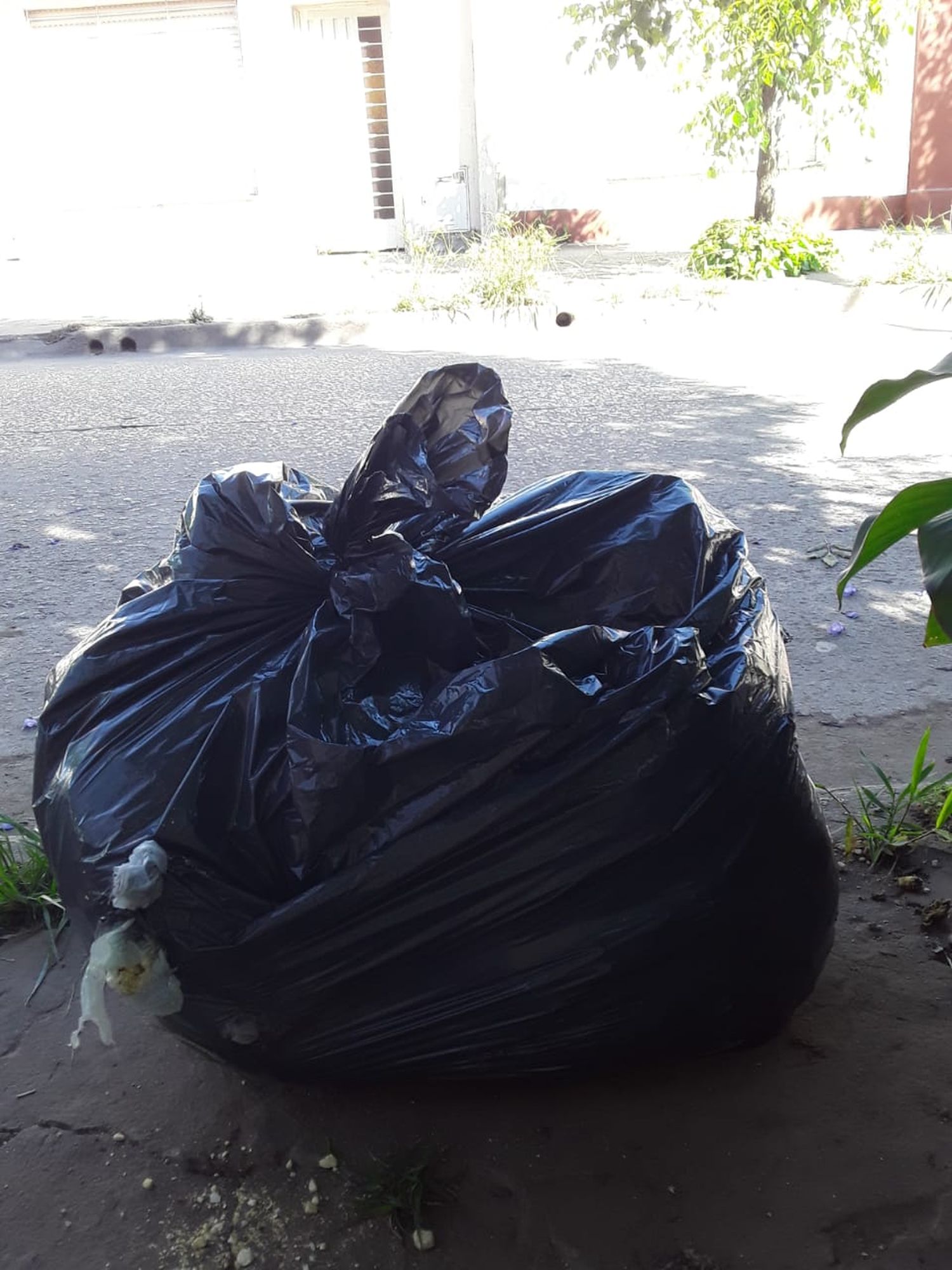 No levantan mi basura