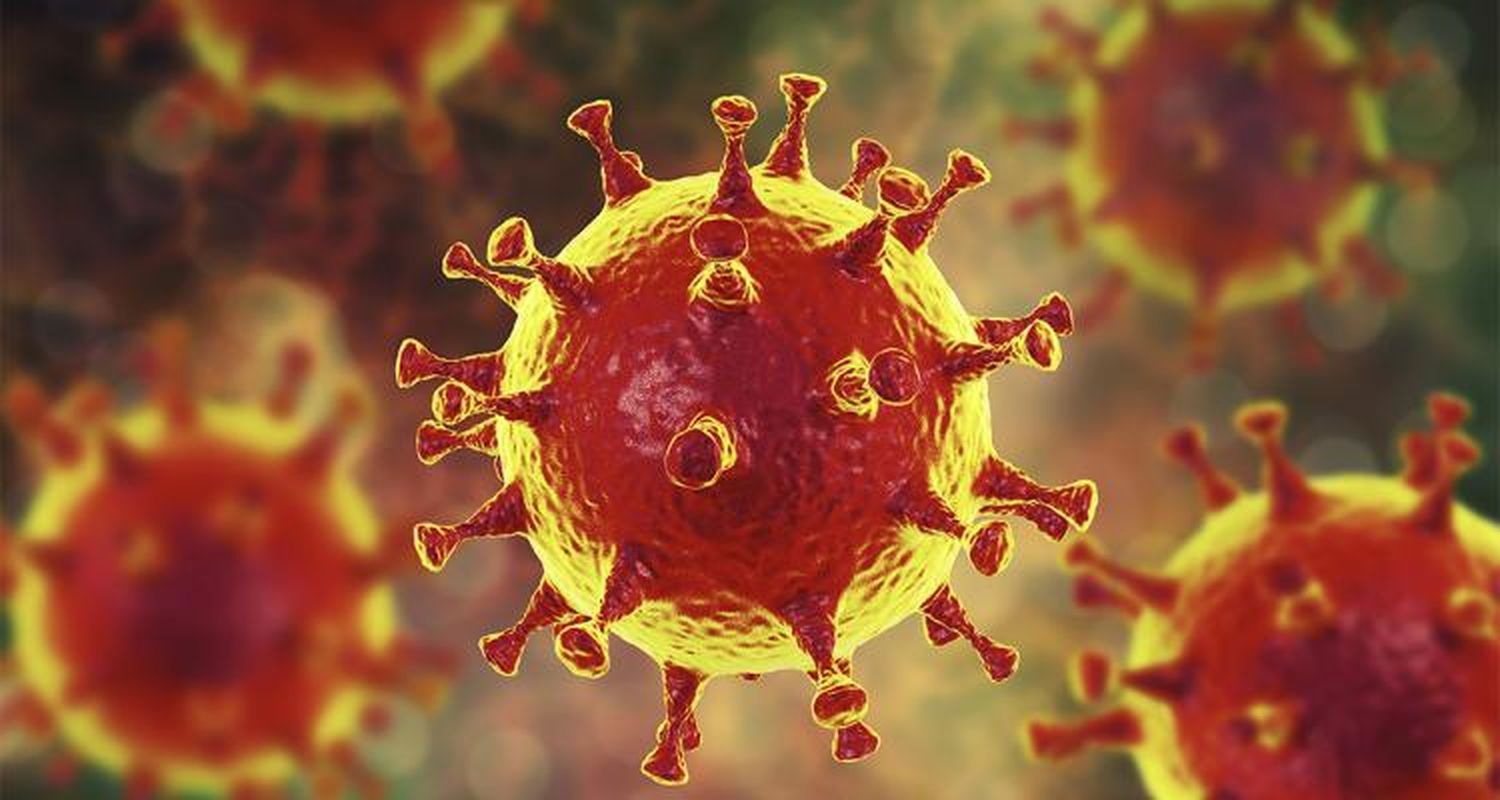 Coronavirus en Baradero: Aguardan resultados de muestras tomadas a dos trabajadores del hospital y monitorean el caso en San Pedro