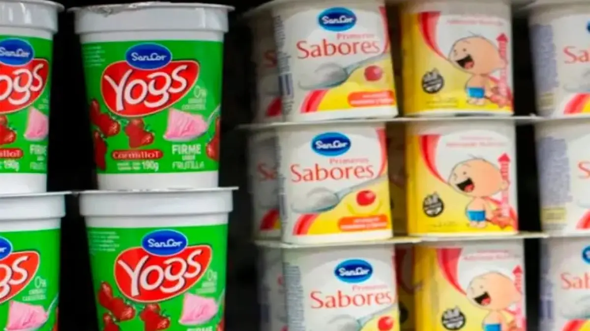 La láctea elaboraba los yogures, flanes y postres de SanCor