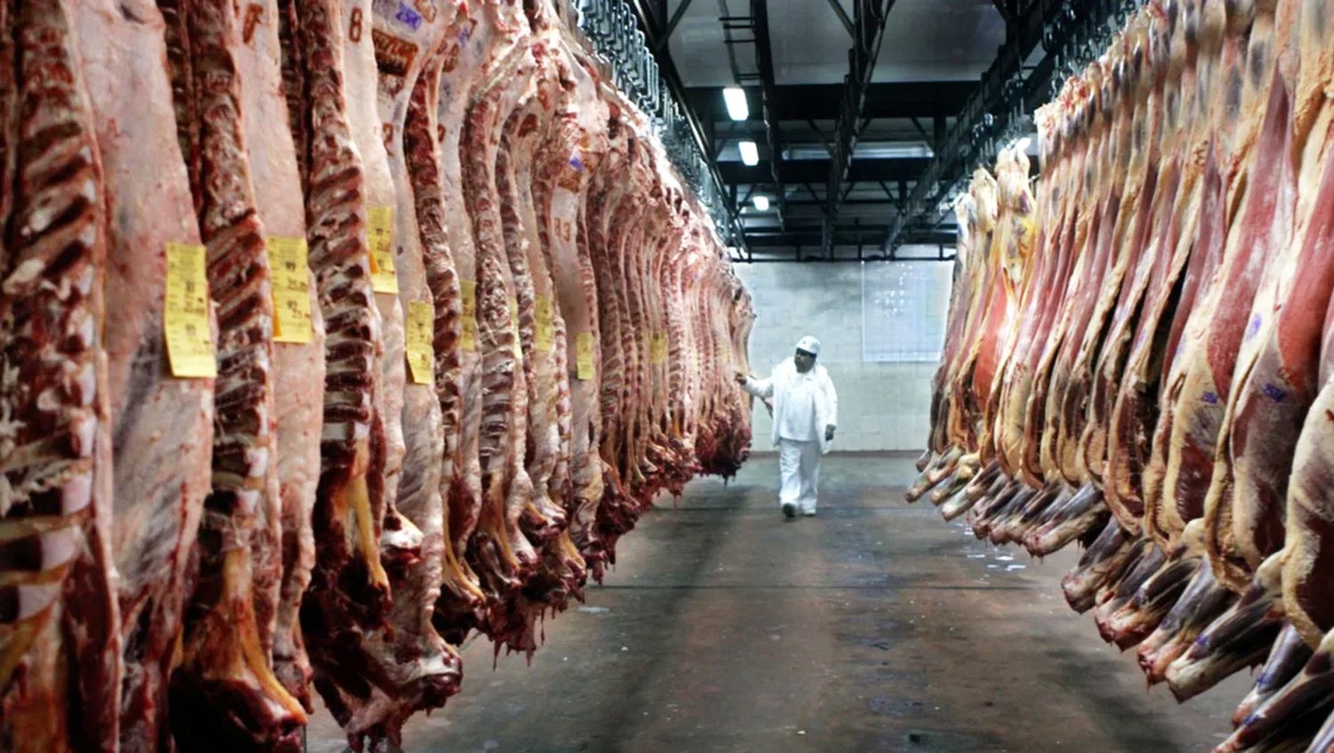 Carne. Fuerte aumento