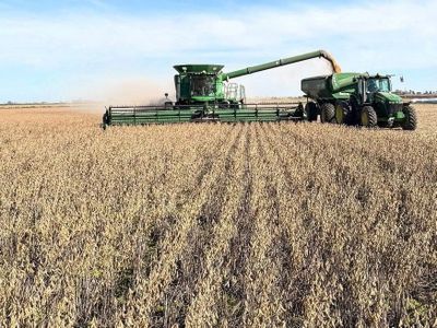Retenciones 0%: qué precio recibió el productor y cuántos dólares retuvo el Gobierno
