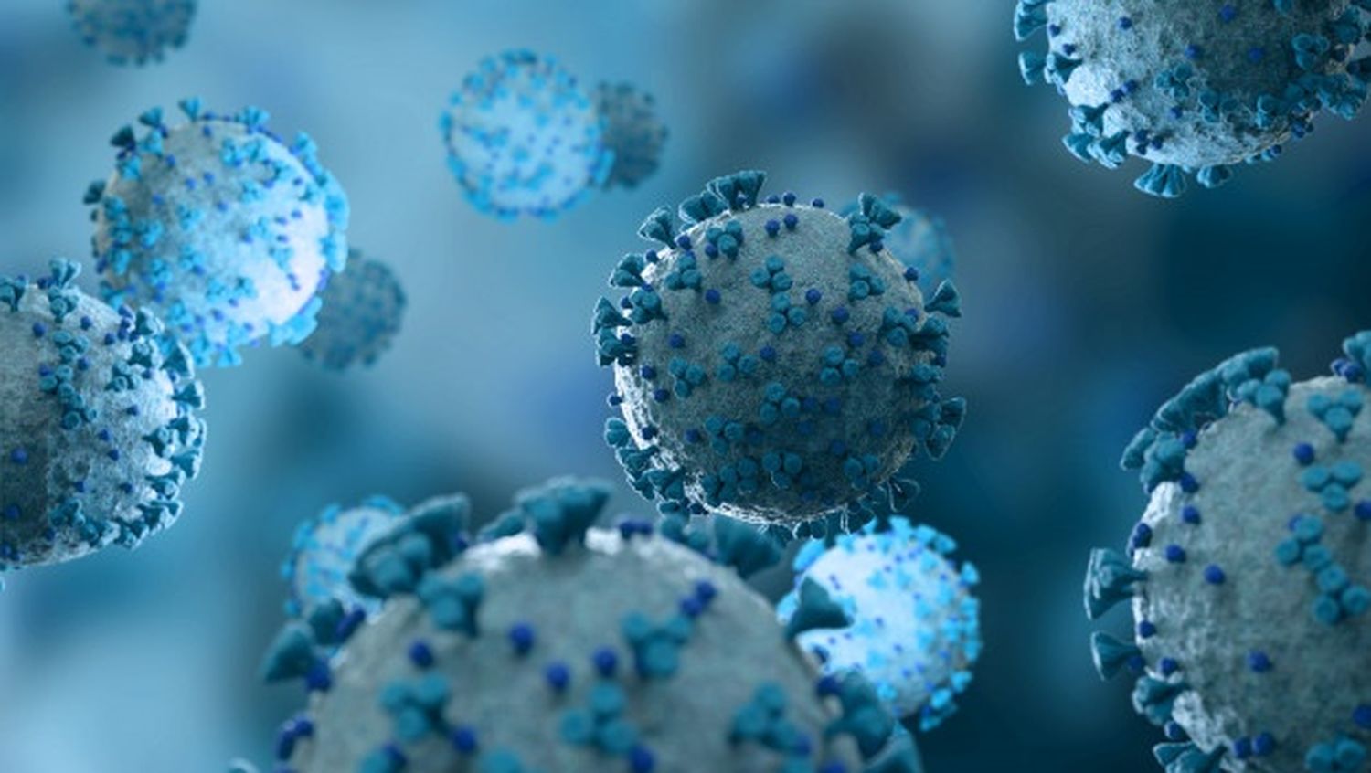 #Coronavirus 19 de agosto: 10.596 nuevos casos y 189 muertes reportadas en las últimas 24 horas
