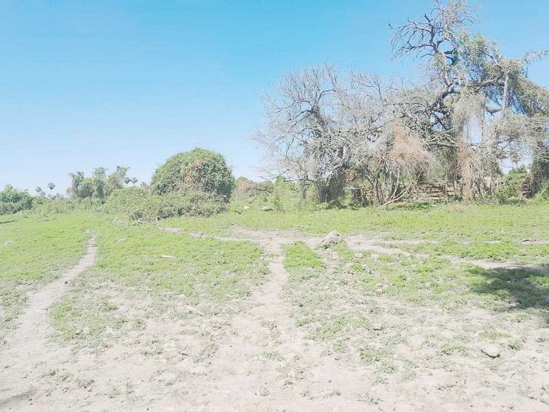 Bay: La provincia de Formosa cuenta con
cuatro millones de hectáreas de bosque nativo