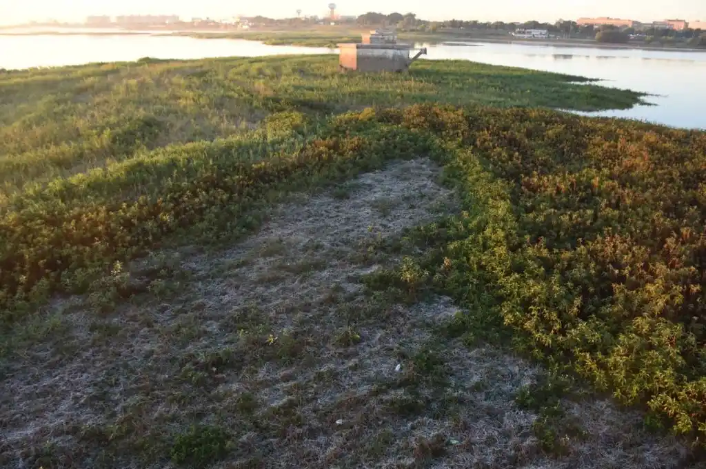 Por el frío extremo en Argentina, se “congeló” parte del embalsado de la Laguna Setúbal en Santa Fe