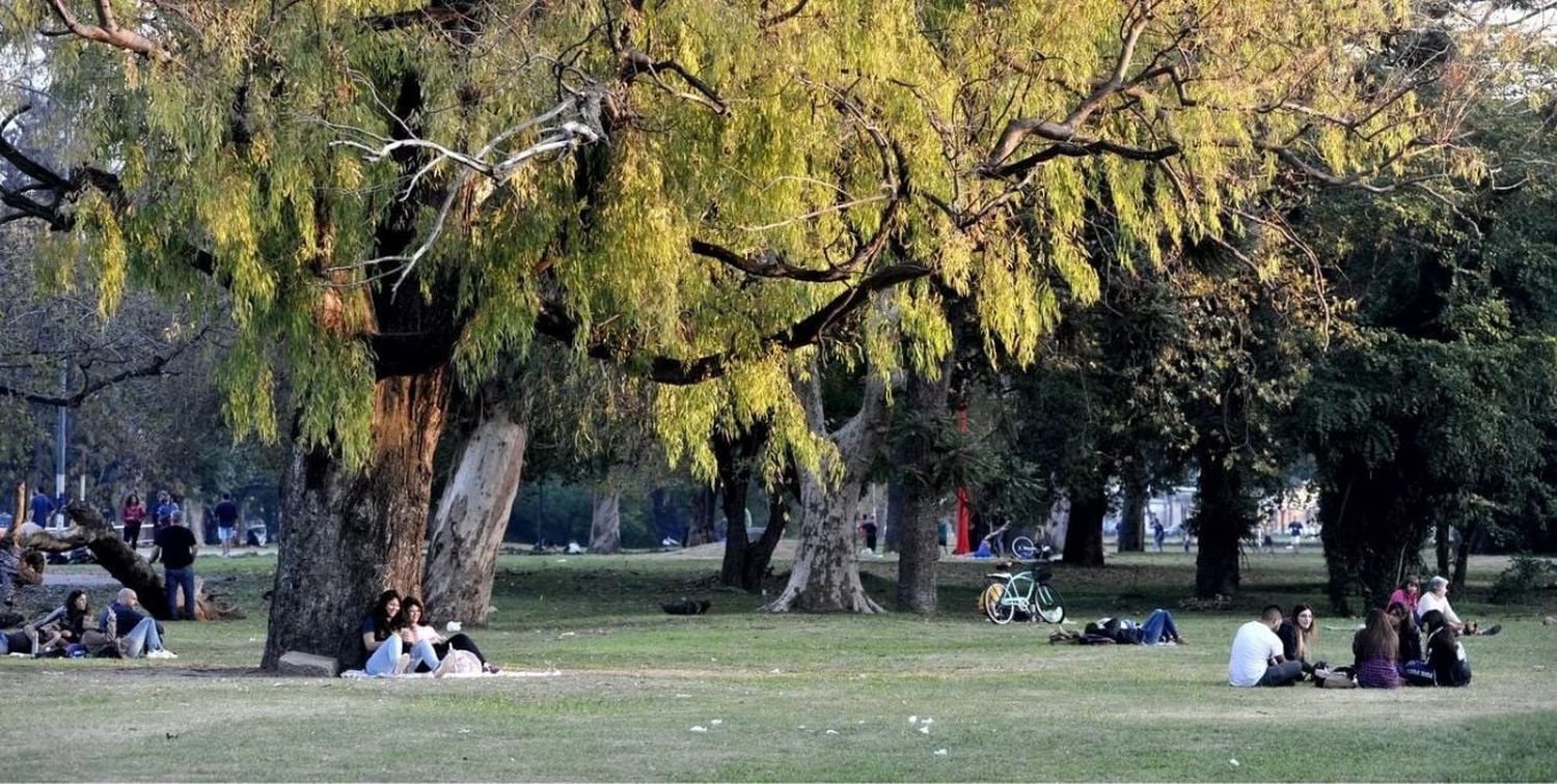 El hecho ocurrió el sábado por la tarde en el Parque San Martín.