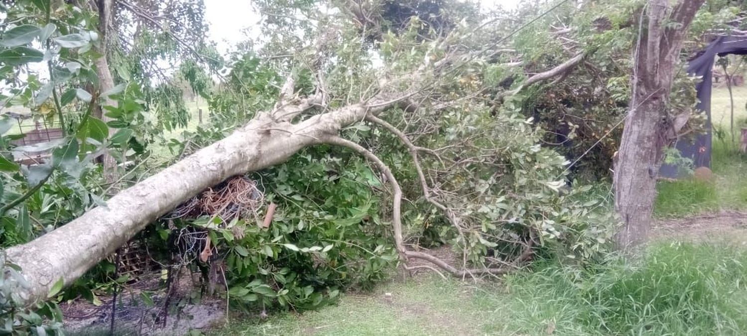 Fuerte temporal en Lucas Sud I causó importantes daños materiales
