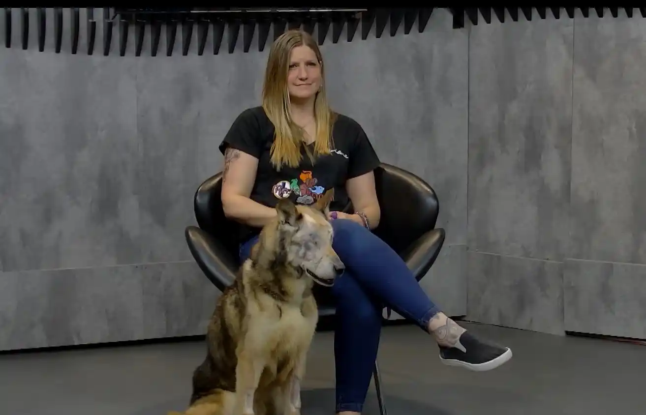 Buscan un hogar al perro que fue encontrado en el relleno sanitario