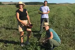 LA RINCONADA: la familia Käser y su producción de alcaparras