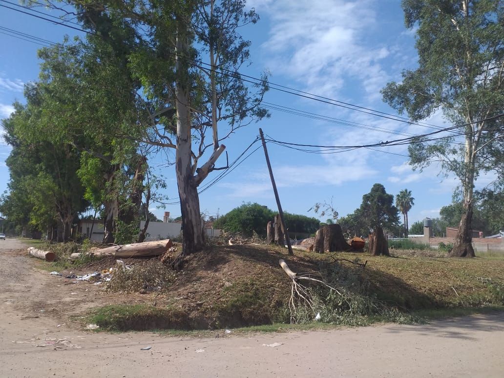 Prisión preventiva sin plazo para el acusado de estafa por venta de terrenos en Venado Tuerto