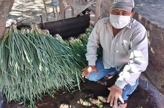 Más de $4 millones obtuvieron paipperos riachenses por las ventas al Plan Nutrir