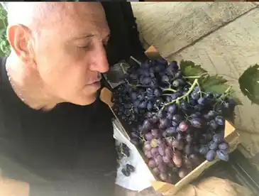 Actualmente, Franco De Vita se dedica a sus cultivos y a la música. Foto: Instagram