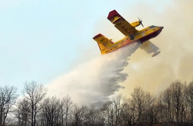 El asado más caro del mundo: sin querer, incendiaron mil hectáreas