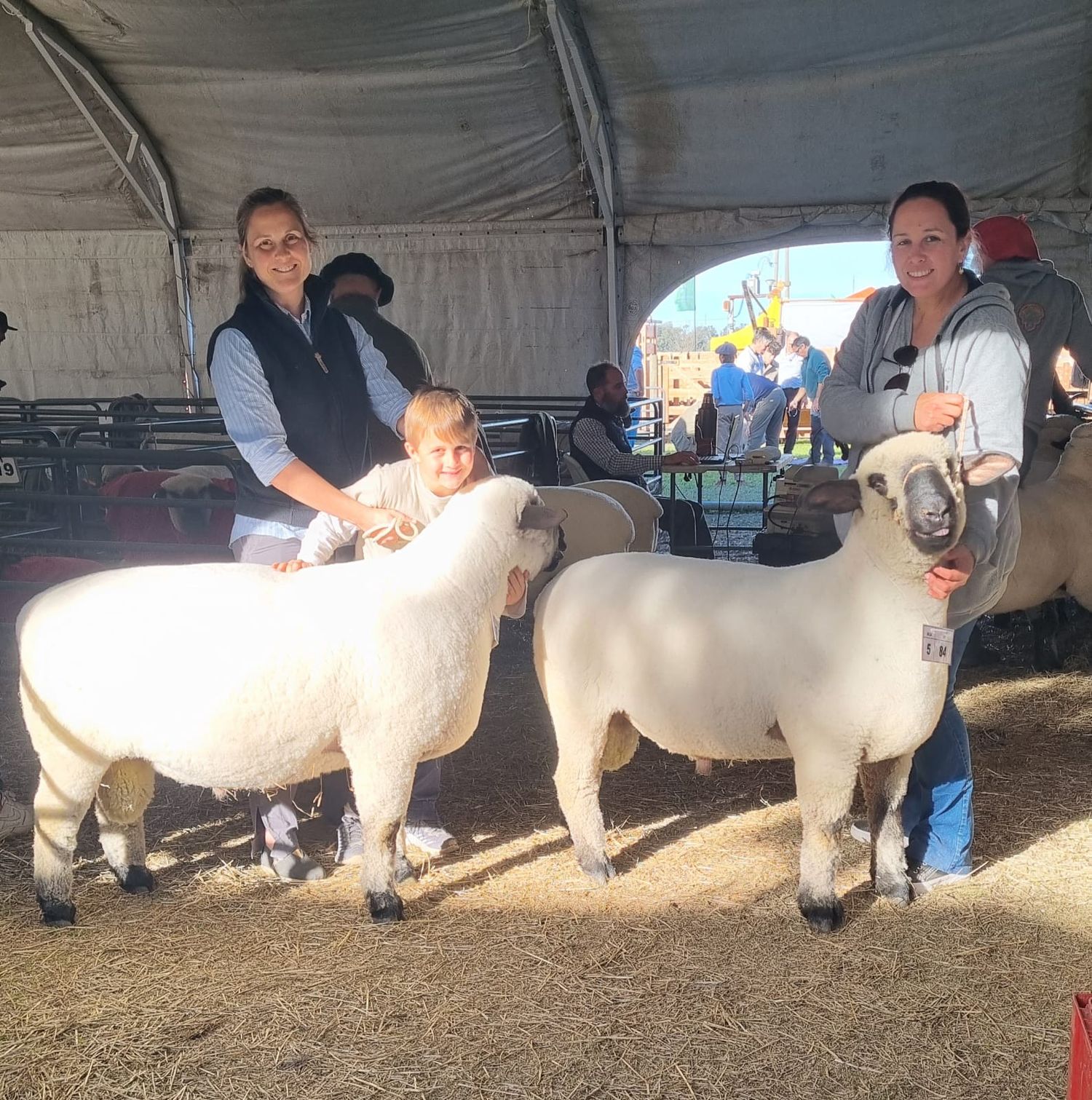 Toda el cronograma de actividades de la Expo Rural 2024