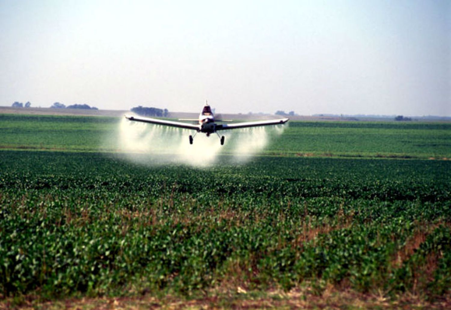 Realizarán una jornada para develar las verdades sobre la deriva de los agroquímicos y los daños a la salud