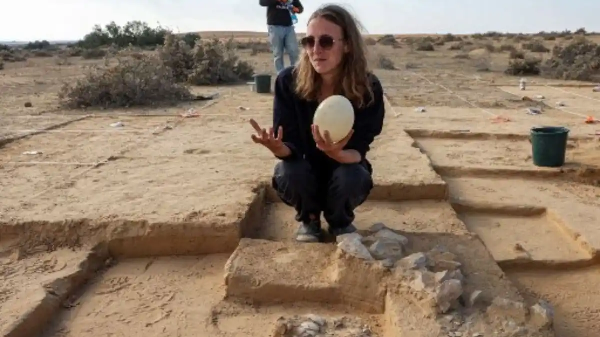 Hallan huevos de avestruz de más de 4.000 años en Israel (+ Fotos)