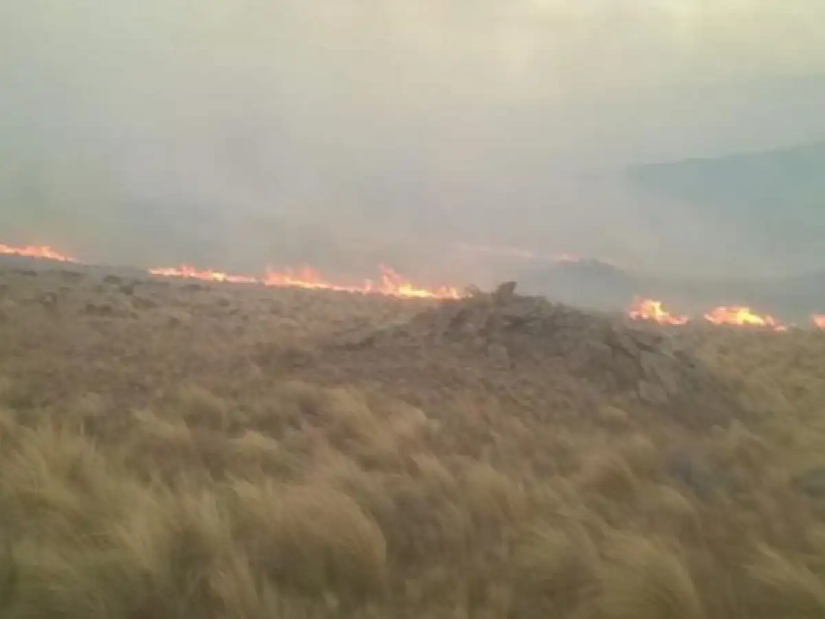 Intentan controlar un grave incendio en Alpa Corral