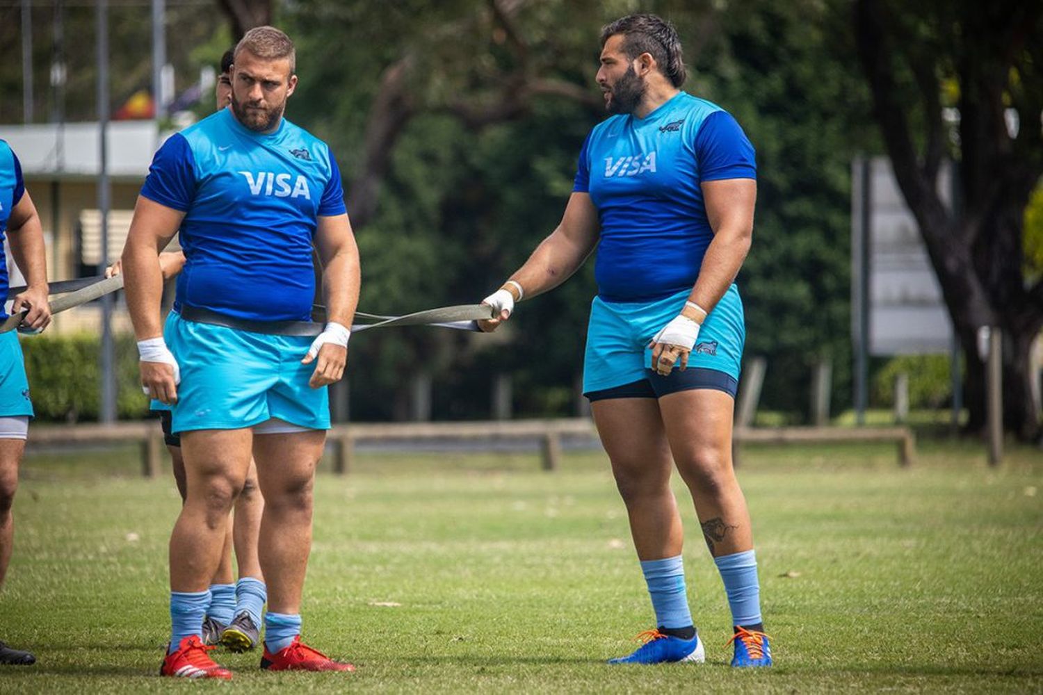 Los Pumas van por otro golpe ante los All Blacks