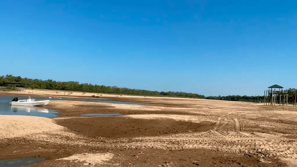 ¿Qué sucede con los peces a medida que se seca el río?